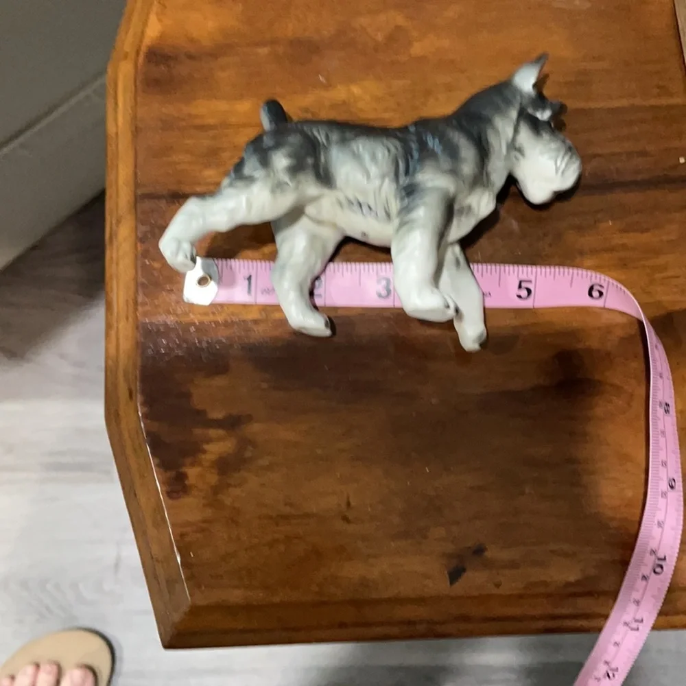 Dog statue chip on ear🐶